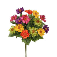 Mixed Zinnia Bush 17
