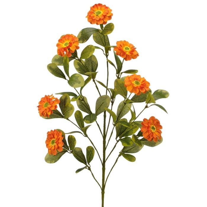 Button Zinnia Spray X7 34"