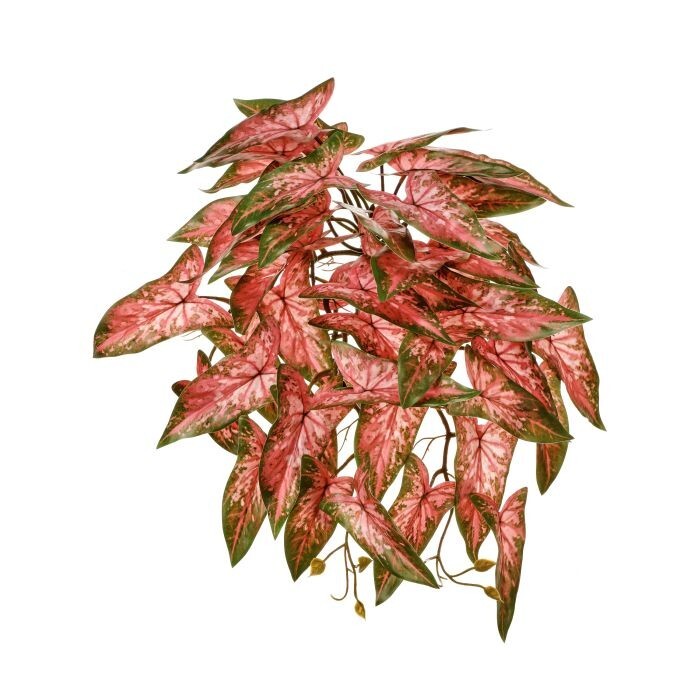 Pl.Hg. Real Tch Vein Syngonium Bushx47 19"