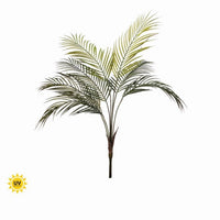 Pl. Uv Treat Nat Tch Palm Plant 32