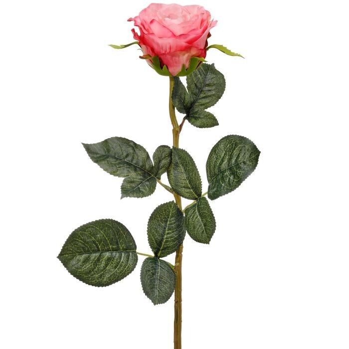 Rina Open Rose Stem 27"