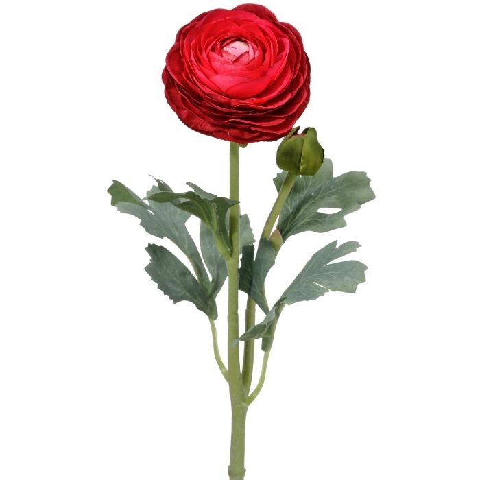 Ranunculus & Bud Stem 19"
