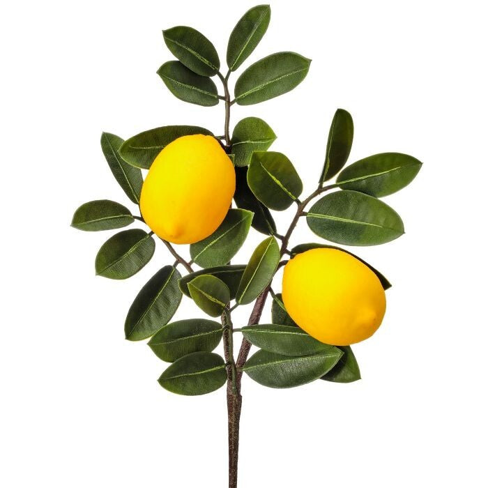 Pl. Double Lemon Pick 20"