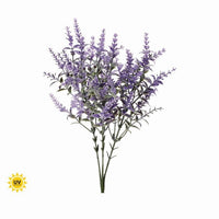 Pl. Uv Lavender Garden Bush 14