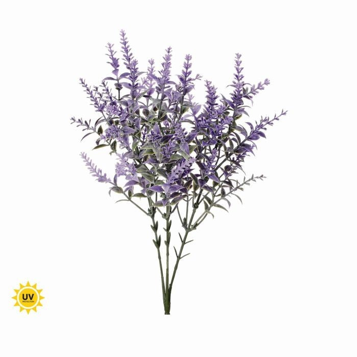 Pl. Uv Lavender Garden Bush 14"
