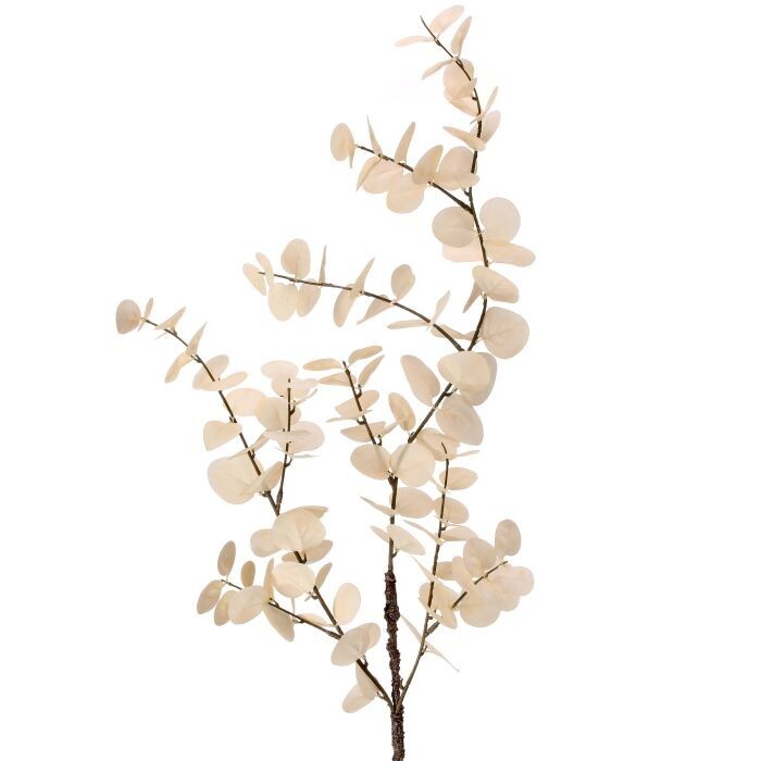 Blanched Eucalyptus Spray 35"