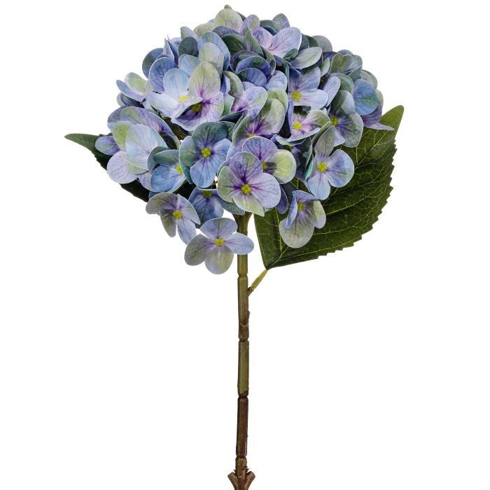 Pe Hydrangea Stem 19"