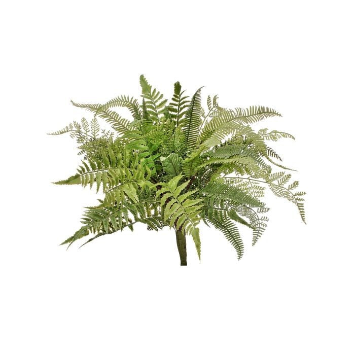 Pl. Nat Touch Mix Fern Plant 20"