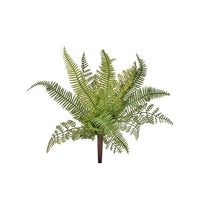 Pl. Nat Touch Mix Fern Plant 13