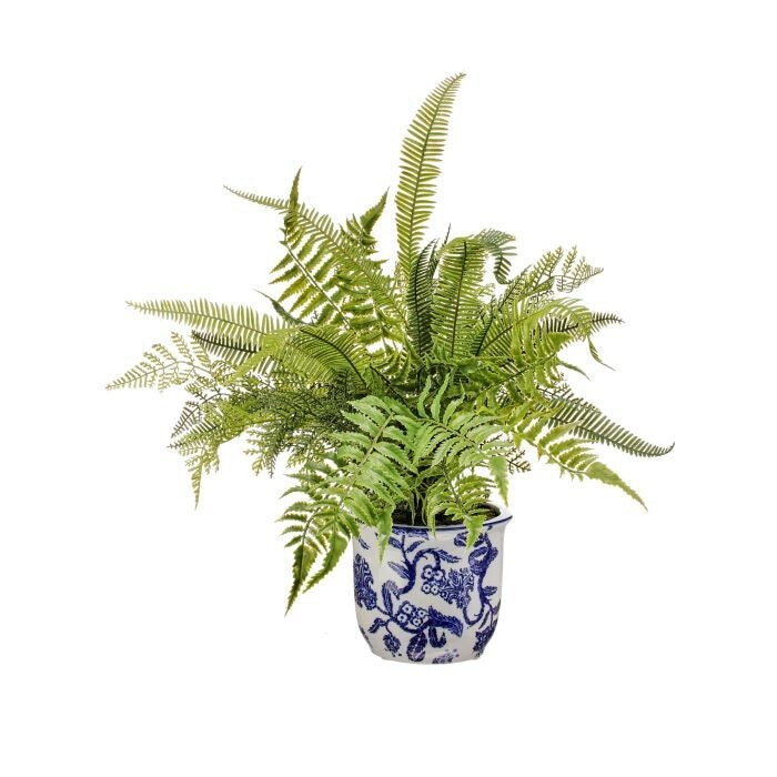 Pl. Nat Tch Mixed Fern In Ceramic Pot 20"