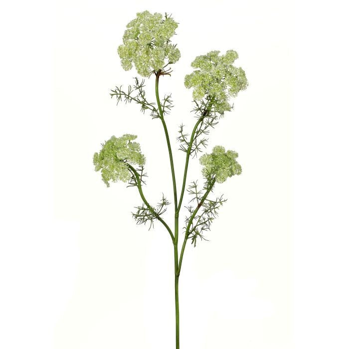 33" Wild Dill Spray