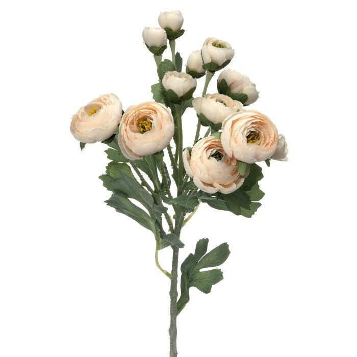 21" Branched Ranuculus 8F3B