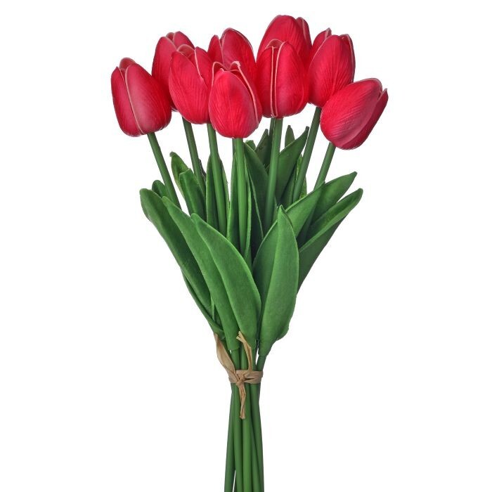 13" Eva Dutch Tulip Bundle X9