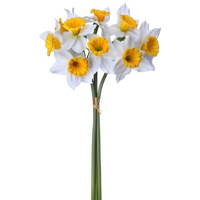15" Field Daffodil Bundle X3