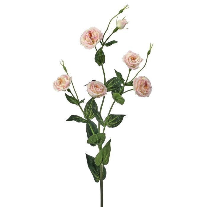 36" Multi Flowered Lisianthus Spray