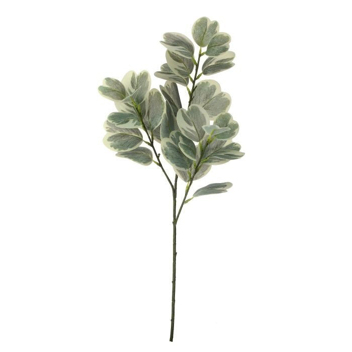 28" Garden Euonymus Spray