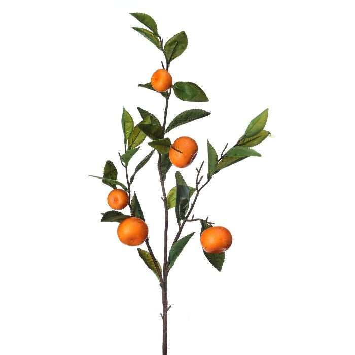 35" Orchard Orange Spray