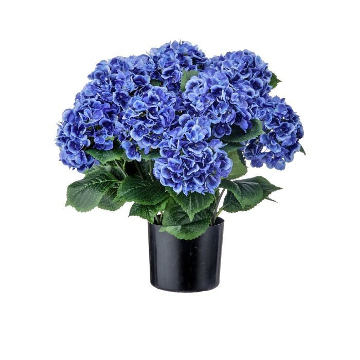 22" Potted Garden Hydrangea X13