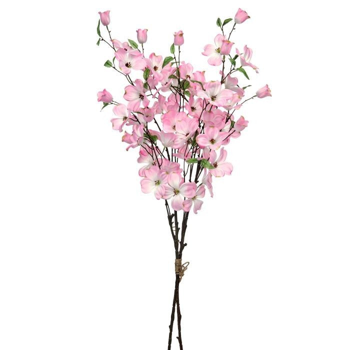 49" Southern Dogwood Bundle