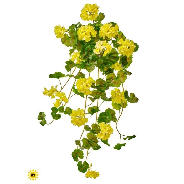 36" Uv Nat.Tch Summer Hanging Geranium Plant