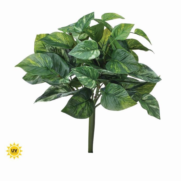 16" Uv Pothos Bush