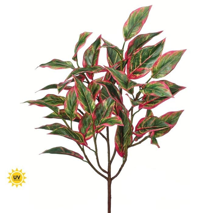 21" Uv Cordyline Bush