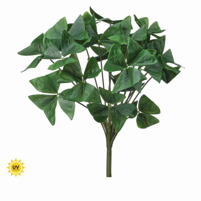 15" Uv Garden Oxalis Plant