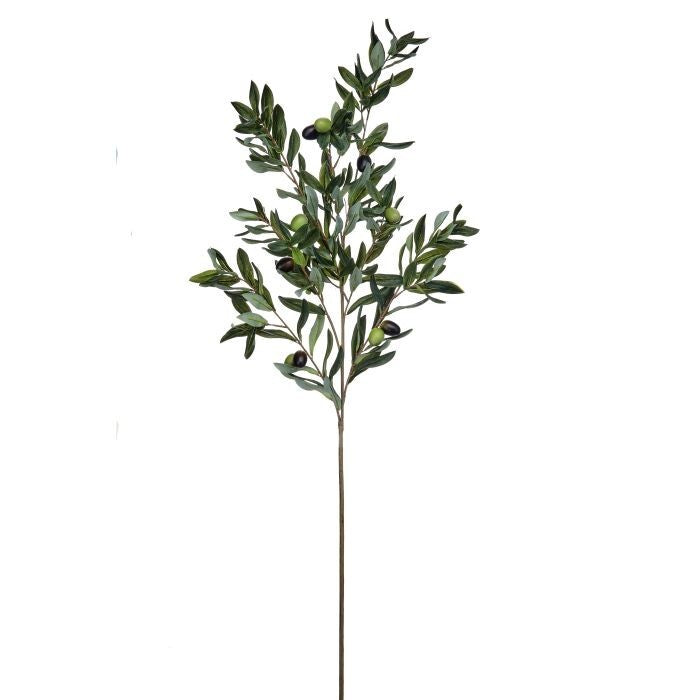 45" Amalfi  Fruited Olive Stem