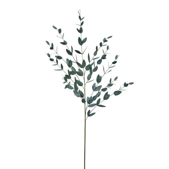 47" Gunni Eucalyptus Stem