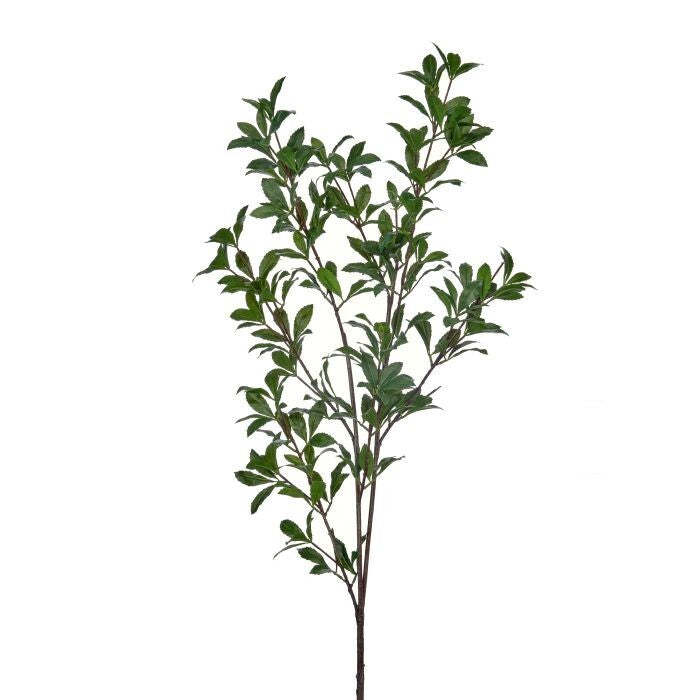 67" Japonica Tree Stem