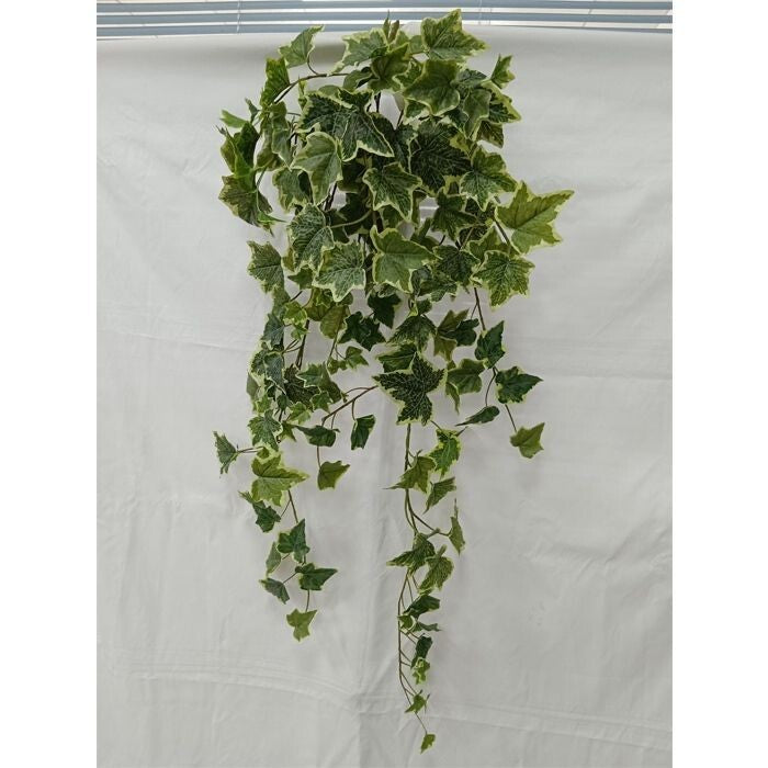 39" English Garden Ivy Hanging Bush