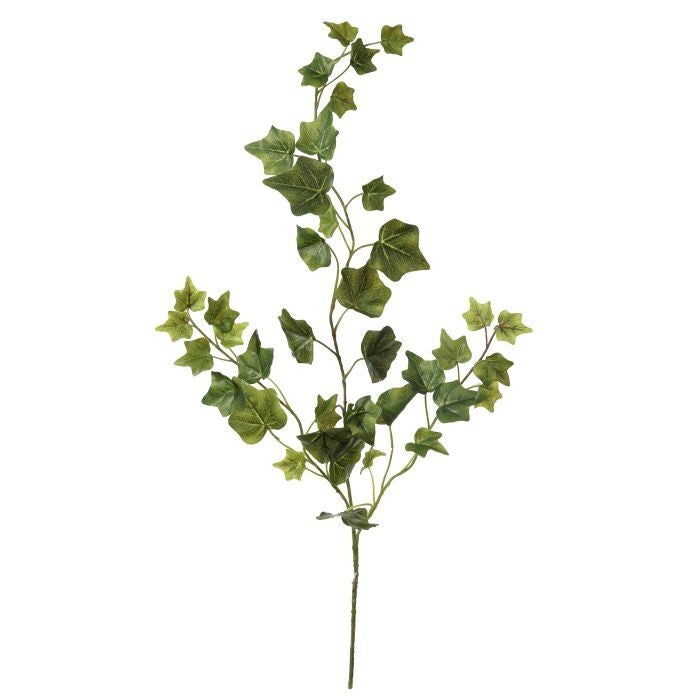 25" English Garden Ivy Spray