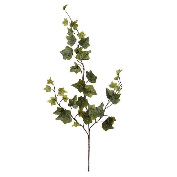 25" Frost English Ivy Spray