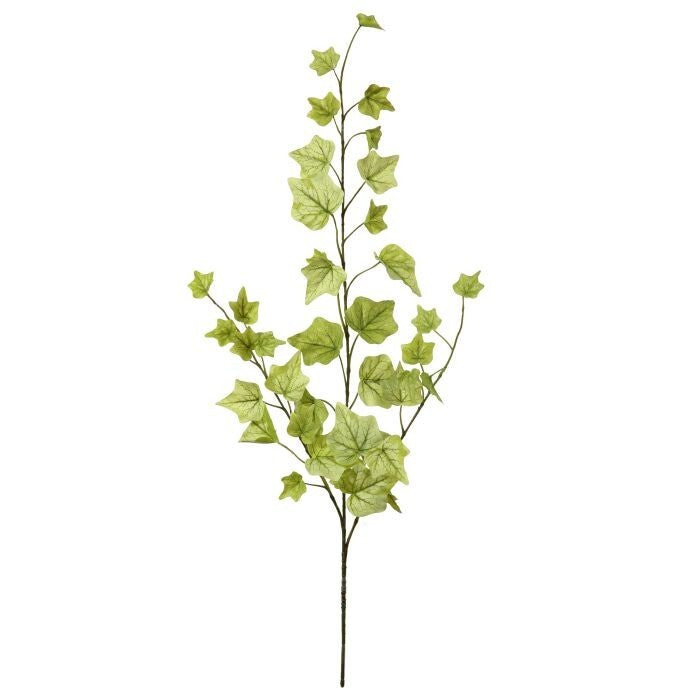 25" Lemon Lime English Ivy Spray