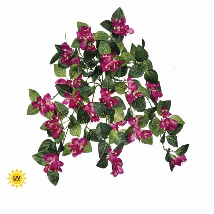 25" Uv Hanging Bougainvillea Plant