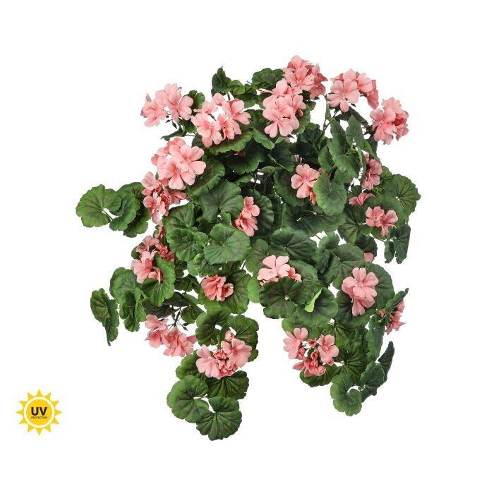 27" Uv Hanging Geranium Plant