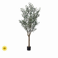 7' Uv Potted Tuscan Olive Tree