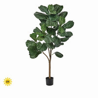5' Uv Potted Fiddle Leaf Fig Tree