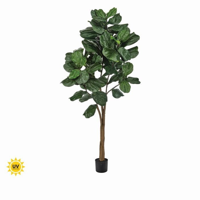 7' Uv Potted Fiddle Leaf Fig Tree