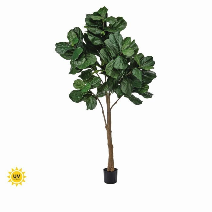 8' Uv Potted Fiddle Leaf Fig Tree