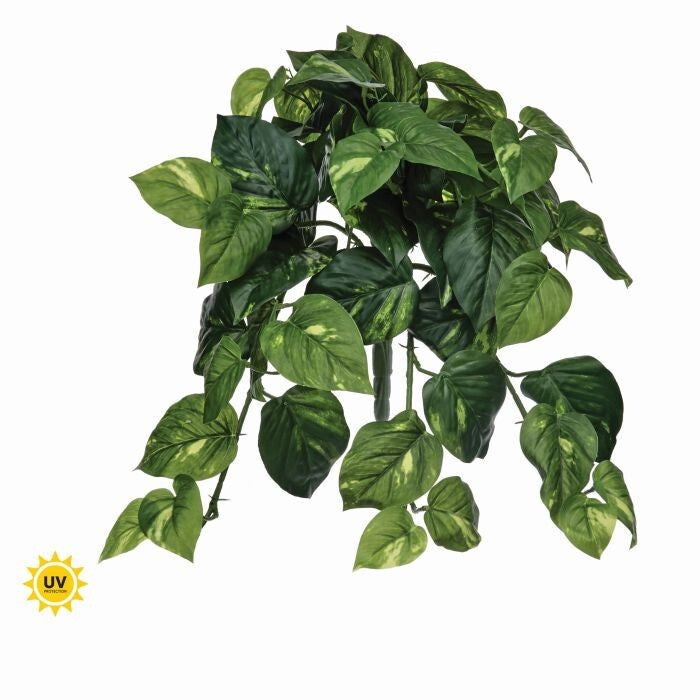 19" Uv Pothos Plant Bush 54Lvs