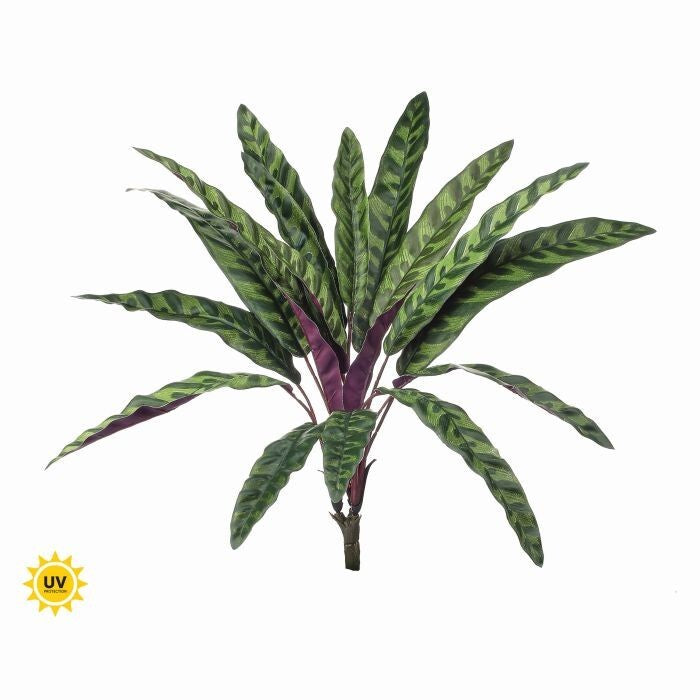 17.5" Uv Calathea Plant 18Lvs
