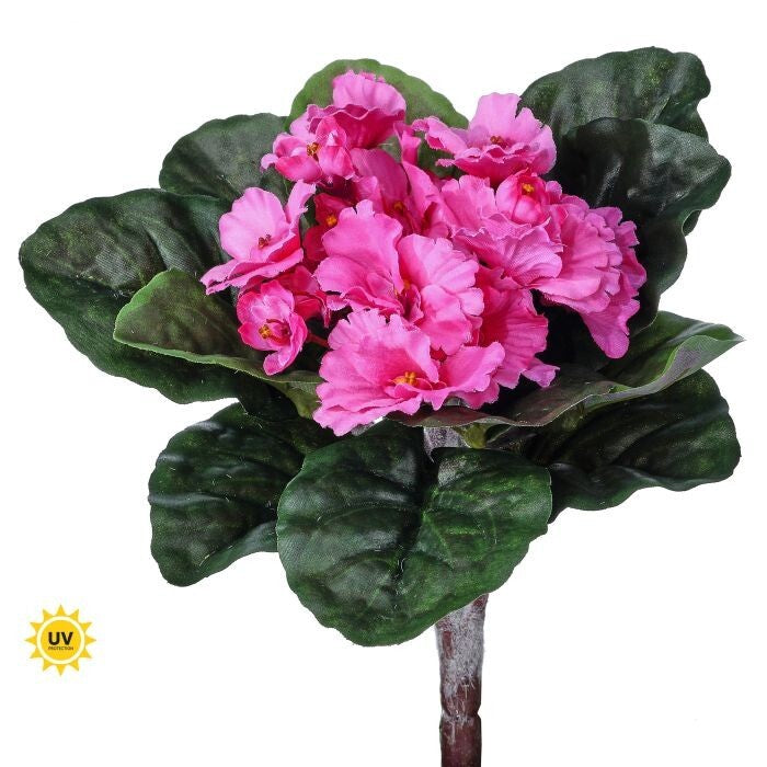 8" Uv African Violet Bush