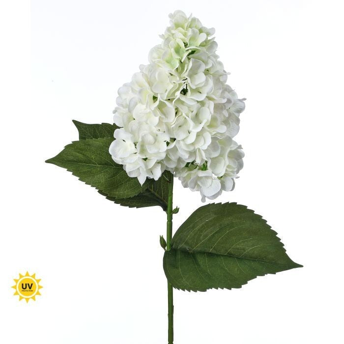 29" Uv Grande Summer Peegee Hydrangea