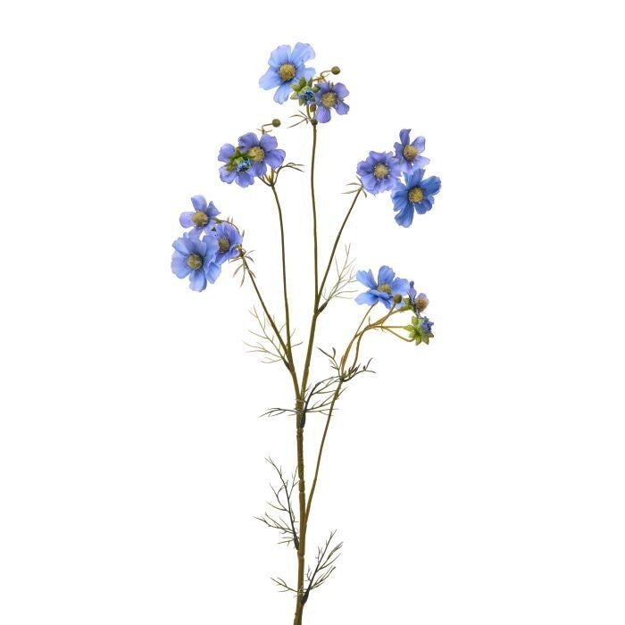 38" Wild Summer Cosmos Spray