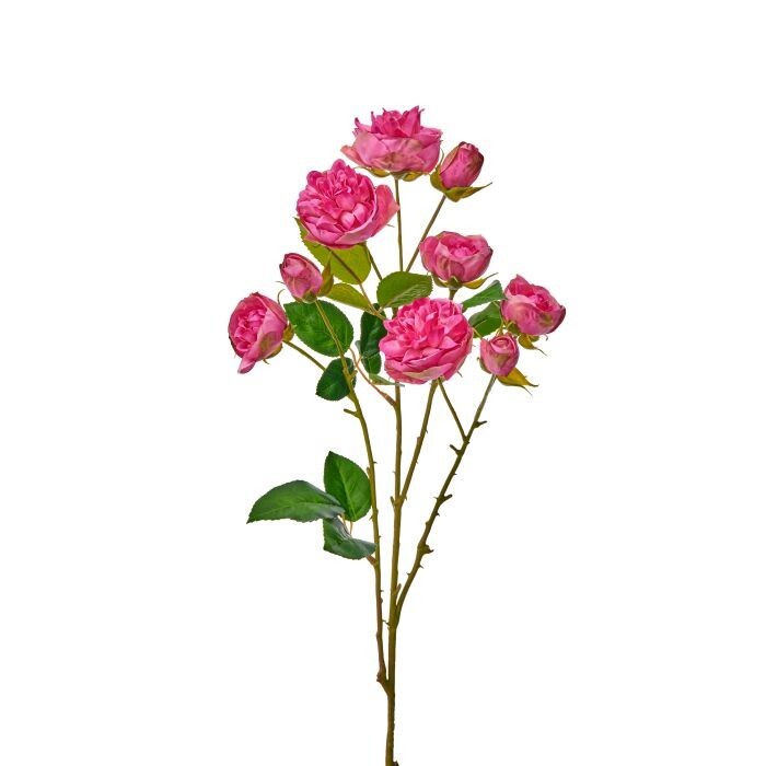 25" Summer Garden Ramblin Rose Stem