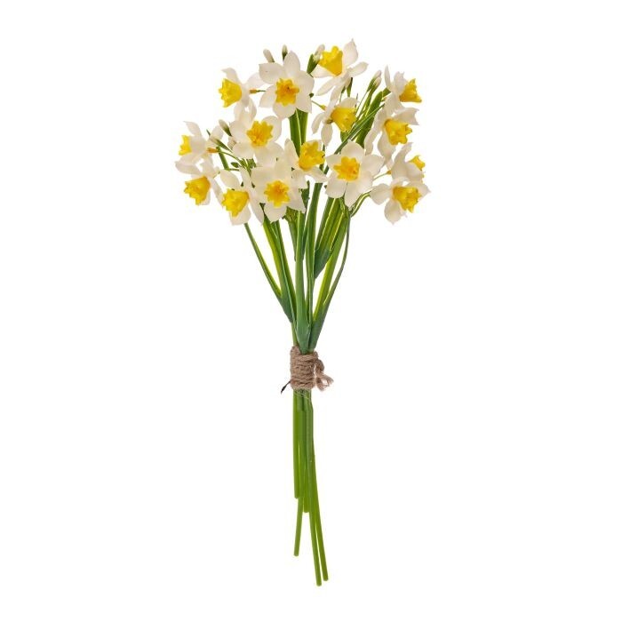 14" Narcissus Bundle X5