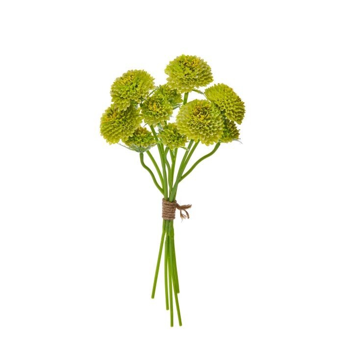 14" Scabiosa Bundle X5