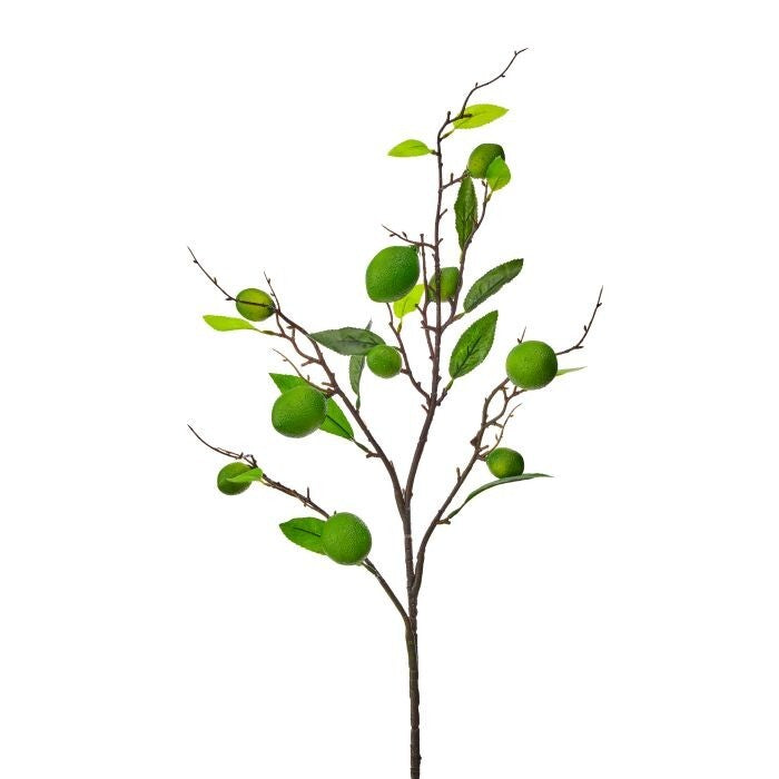 32" Mini Tropical Lime Fruit Spray