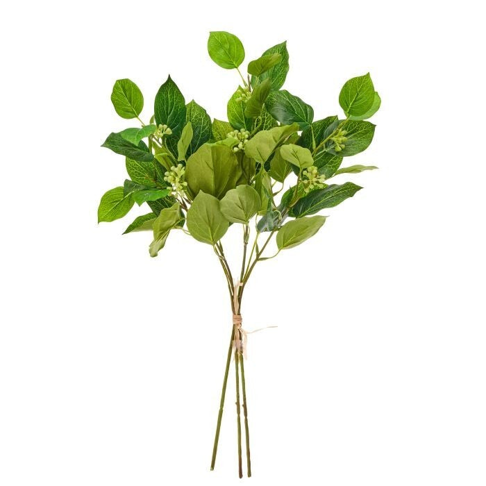19" Seedling Beech Greenery Bundle X3